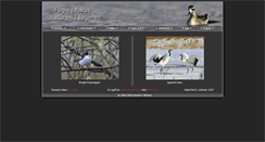 Desktop Screenshot of hfn.dk